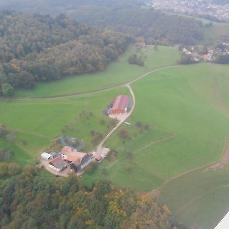 Gite A L'Oree Des Biches Sainte-Marie-aux-Mines Zewnętrze zdjęcie